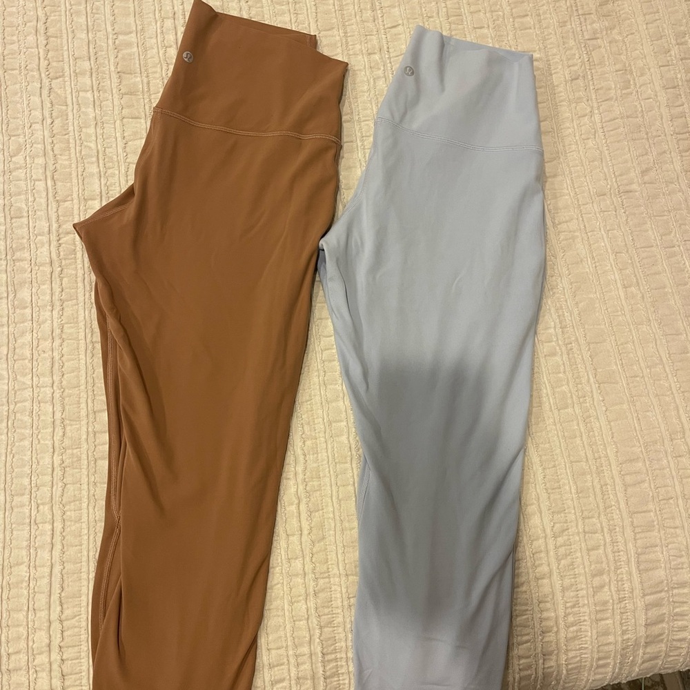 Stylish Women's Brown and Gray Pants